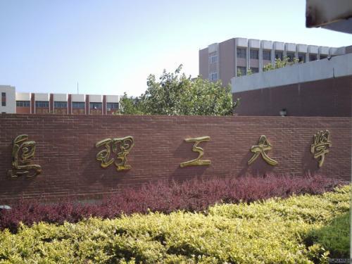 各类重点学科很多，比起青岛理工，青岛科技大学才是重点大学