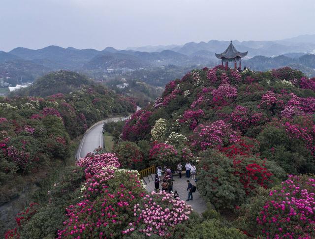 国庆贵州旅游攻略 贵州五大国家5A级旅游景区全在这里