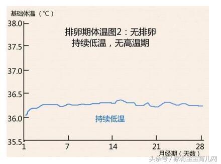 排卵期有什么症状？有几天？记住这4个信号 不再错过排卵期！