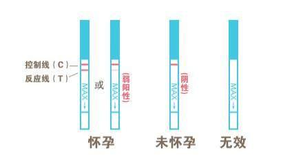 早孕试纸怎么使用？如何准确判断？