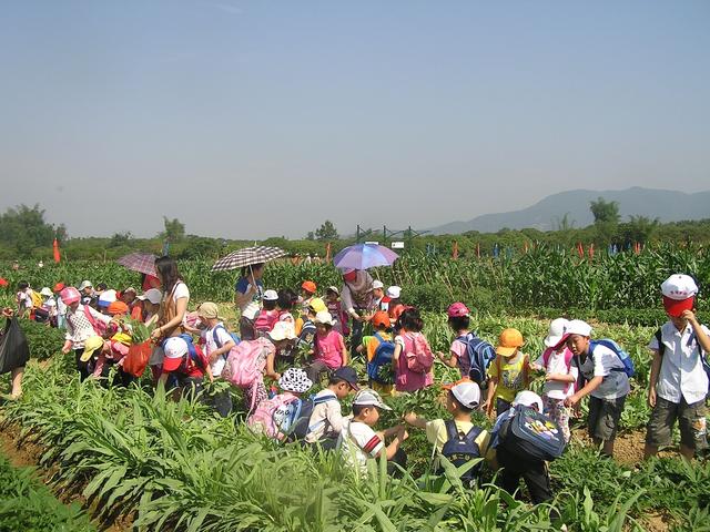 农民赚钱好方法，几个值得分享的农村人发家致富好项目