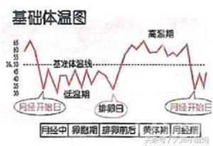 排卵期计算器在线查询，助你轻松受孕