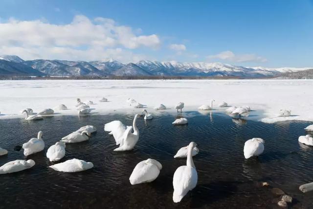 北海道的冬天，比你想象中更美