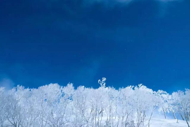 北海道的冬天，比你想象中更美