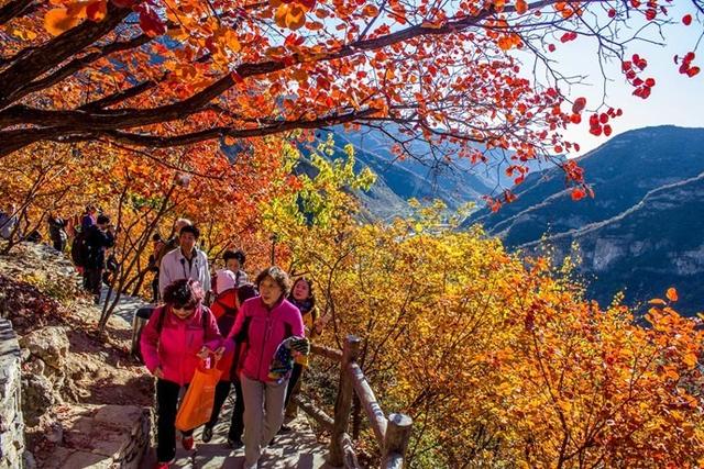 京郊红叶最美之地——坡峰岭，赏红叶、拍大片儿、逛特色山货大集、品地道农家菜……