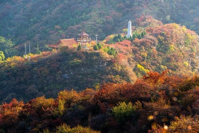 京郊红叶最美之地——坡峰岭，赏红叶、拍大片儿、逛特色山货大集、品地道农家菜……