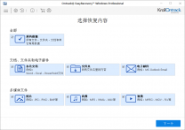 数据恢复软件 Ontrack EasyRecovery v11