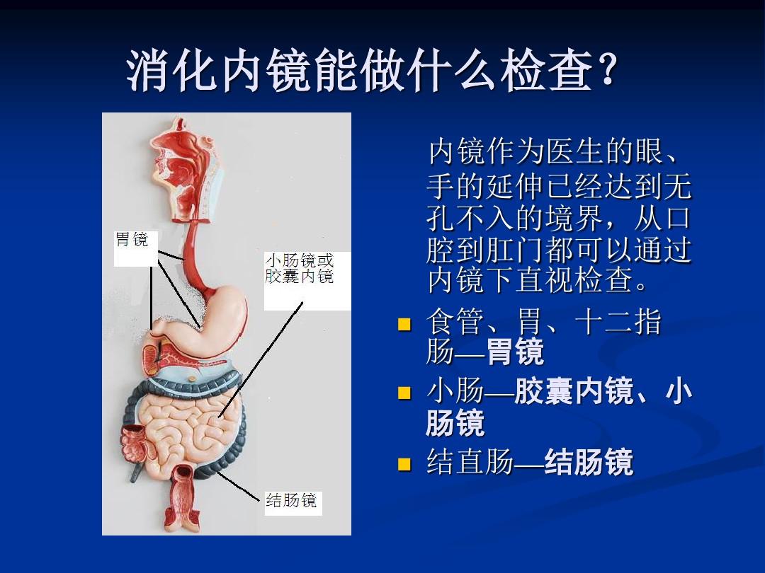 讲课消化内镜概述及常见病内镜下治疗ppt课件