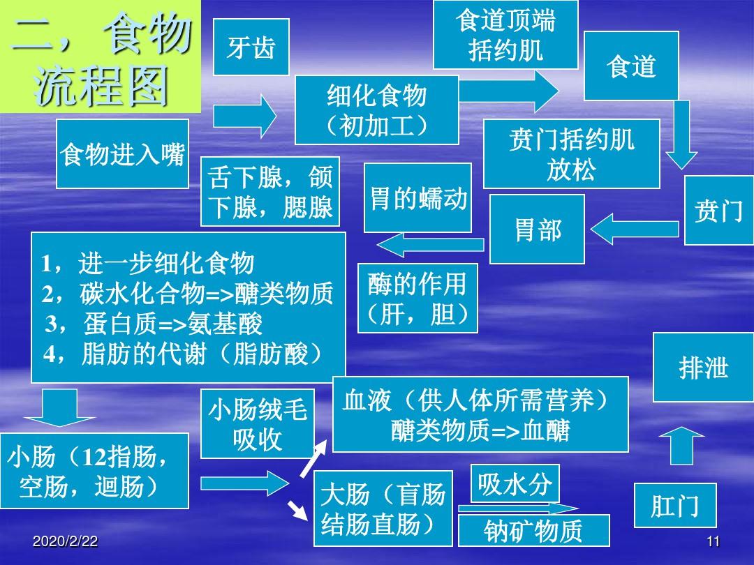 基础营养学ppt课件