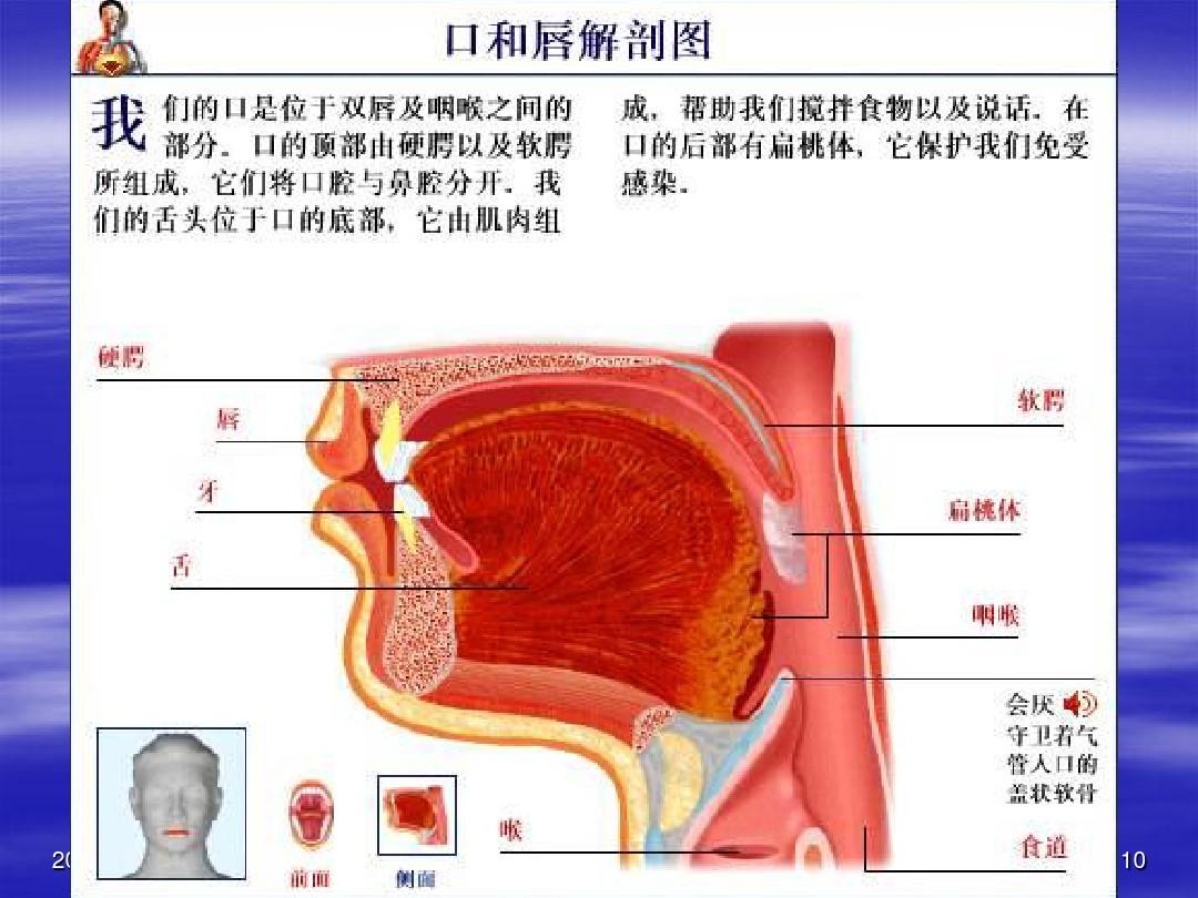 基础营养学ppt课件