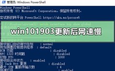 win101903更新后网速慢怎么办_win101903更新后网速慢解决方法