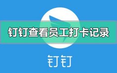 钉钉怎么查看员工打卡记录_钉钉查看员工打卡记录方法教程