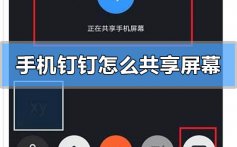 手机钉钉怎么共享屏幕_手机钉钉共享屏幕的方法教程