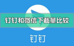 钉钉和微信那哪个下截量大_钉钉和微信下截量对比