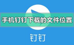 手机钉钉下载的文件在哪里_手机钉钉下载的文件保存位置