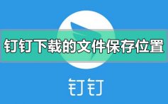 钉钉下载的文件保存在哪里_钉钉下载的文件保存位置