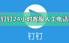 钉钉24小时客服人工电话是多少_钉钉24小时客服人工电话