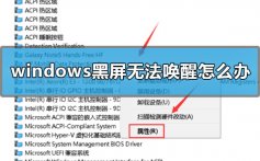 windows黑屏无法唤醒怎么办_windows黑屏无法进入系统解决方法