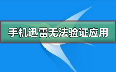 手机迅雷无法验证应用怎么办_手机迅雷无法验证应用的解决方法