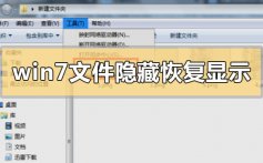 win7文件隐藏了怎么恢复显示出来_win7文件隐藏恢复显示出来的步