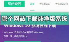 哪个网站能下载纯净版系统_能下载纯净版系统的网站