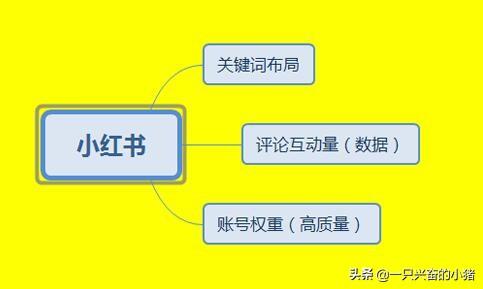 小红书运营推广实战经验分享