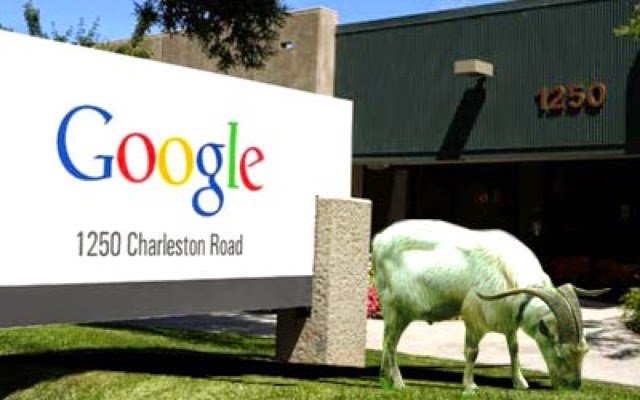Google租用了一群山羊。