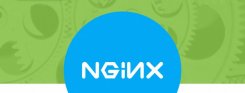 Nginx 服务器安装sfdisk及配置文件详解