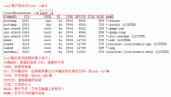 Lionclicknux 查看端口占用情况