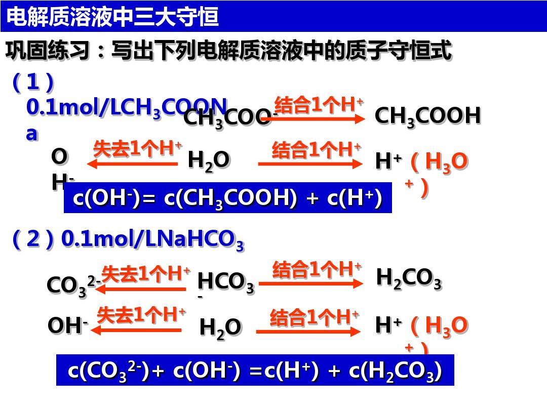 深圳菁华中英文实验中学