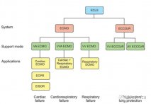 全球最高生命支持仪器VVAECMO ，ECMO 模式的命名说起