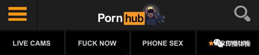 Pornhub，一个神奇的网站