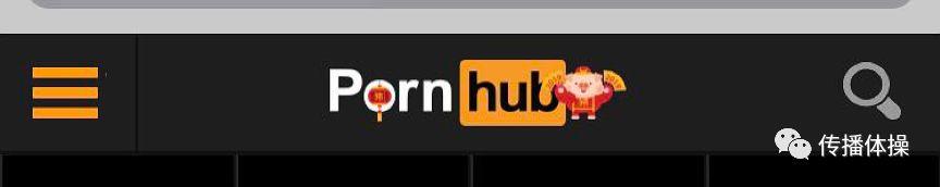 Pornhub，一个神奇的网站