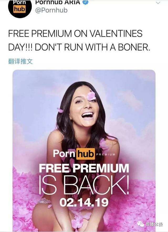 Pornhub，一个神奇的网站