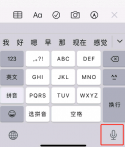 iPhone 11如何打开语音输入功能