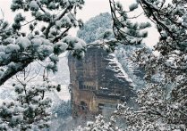 甘肃天水四月飞雪