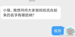 爸妈姓氏合起来的名字