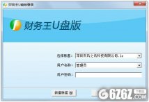 财务王u盘版下载_财务王 V4.8 绿色u盘版