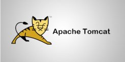 Apache Tomcat下载_Apache Tomcatv6.0.45官方版(32位/64位)