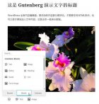 Gutenberg插件下载_Gutenberg插件v0.3.0官方版