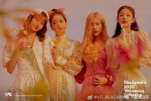 LadyGaga和BLACKPINK合作