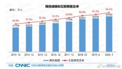 全国6.5亿网民月收入不足5000元