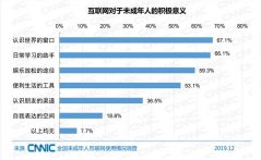 2019年全国未成年人互联网使用情况研究报告