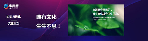 中青宝网群雄汇聚“云端” 2021主题云年会圆满召开