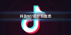 抖音977是什么意思__戳这里为你科普数字谐音梗977