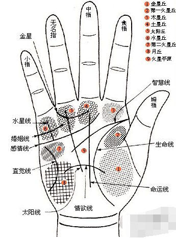 手相算命,婚姻线图解