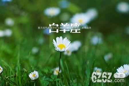 7月白羊座能健康生活吗 2021年星座运势