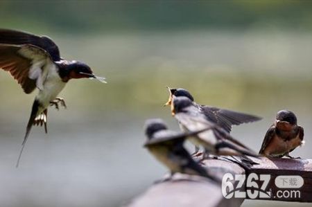 什么样的住宅风水可以出贵人 注意这些细节就能让气运提升