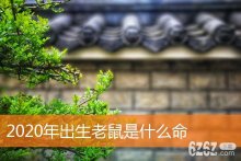 2020年出生老鼠是什么命 2020年属鼠的命怎样